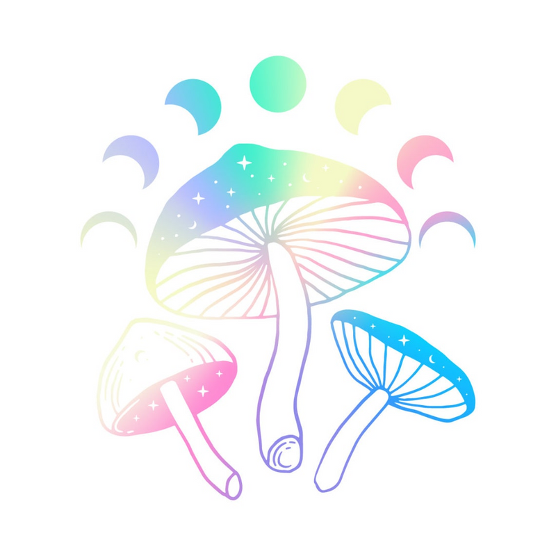 43 Pack Holographic Vinyl Stickers, Random Glossy Decals