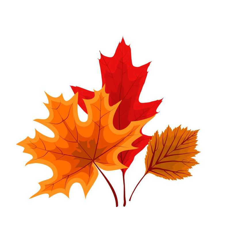 Autumn Vinyl Planner Stickers, Fall Leaves, Pumpkin, Waterproof, Matte Finish
